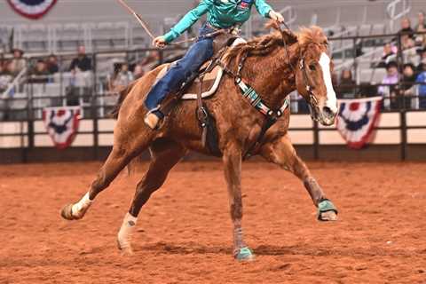 The Annual Fort Worth Stock Show and Rodeo: A Must-See Event in North Central Texas