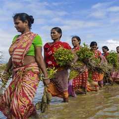 Businesses may be investing more in climate adaptation than we think