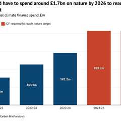 Analysis: UK must spend £1.7bn more on nature by 2026 to meet climate-finance goal