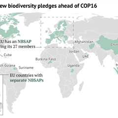 COP16: More than 85% of countries miss UN deadline to submit nature pledges