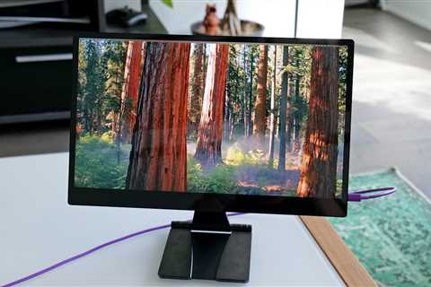 Portable Monitor: A Premium Yet Impressive Choice