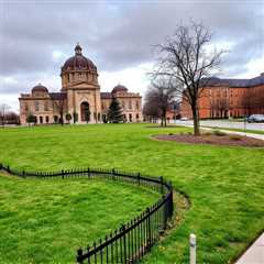 Denver Lawn Weed Identification: Understanding Sod Types & Effective Control