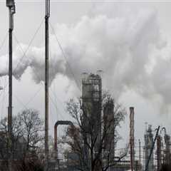 The Impact of Environmental Issues on Political Activities in Southeast Texas: An Expert's..