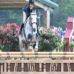 The Prestigious Horse Shows in Currituck County, North Carolina: A Celebration of Equestrian..