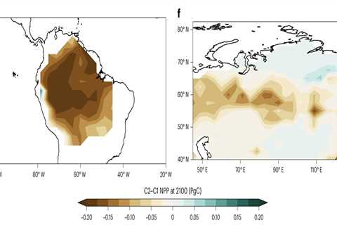 ‘Significant’ risk of Amazon forest dieback if global warming overshoots 1.5C
