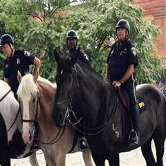 The Elite Units of Central Maryland Police Department