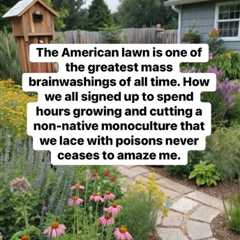 The American Lawn