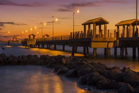 The Ultimate Guide to Requesting Public Records in Pinellas County, Florida