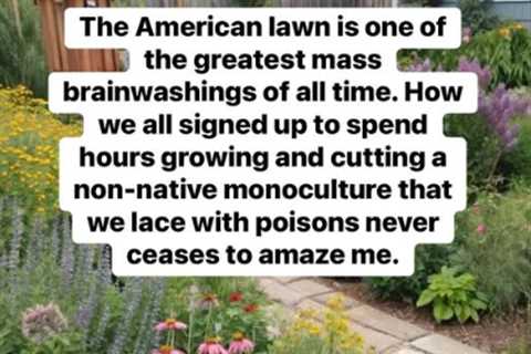 The American Lawn