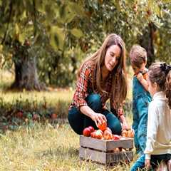 Discovering the Vibrant Annual Festivals of Southwestern Michigan