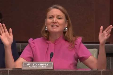 WATCH: Democrat Rep. Goes on Crazed Rant – Says Trump