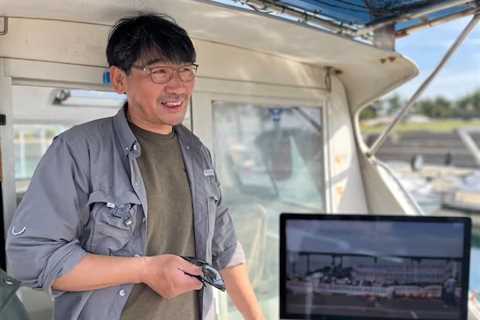 South Korea Could Grant Bottlenose Dolphins off Jeju Island ‘Legal Personhood’ Status to Better..