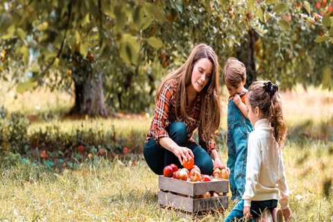 Discovering the Vibrant Annual Festivals of Southwestern Michigan