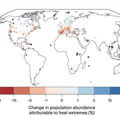 Fossil-fuelled heat has caused tropical birds to decline by ‘up to 38%’ since 1950s