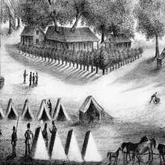 The Vibrant Culture and History of Community Events in Central Florida