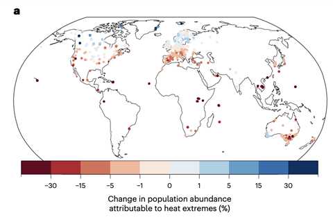 Fossil-fuelled heat has caused tropical birds to decline by ‘up to 38%’ since 1950s