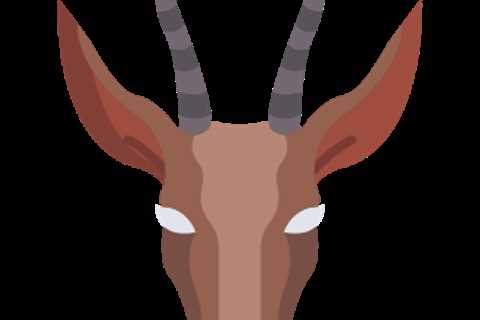 Social Media Sentiment Drives Alpha in Decentralized Prediction Markets