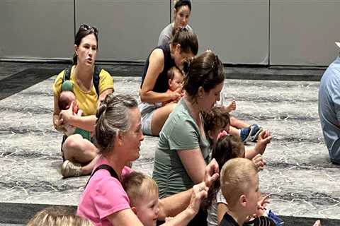 The Age Range of Attendees at Community Events in Central Florida: An Expert's Perspective