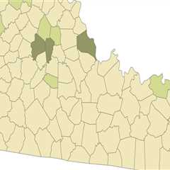 The Changing Political Landscape of LGBTQ+ Rights in Fayette County, Georgia
