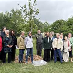 Rooted in our relationships: A tree planting for Senator Stabenow