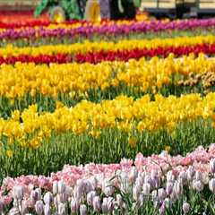 Experience the Vibrant Annual Celebrations in Monmouth County, New Jersey