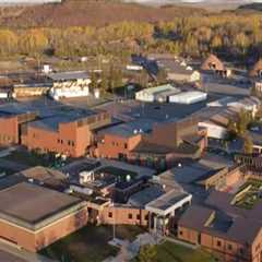 The Secret to Producing Successful Athletes in Anoka County, Minnesota