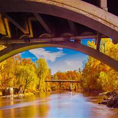 The Hidden World of Professional Athletes in Anoka County, Minnesota