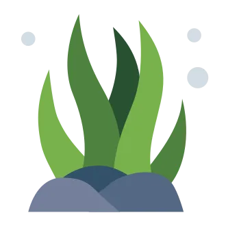 Aurora Vine Wiki: How to Grow a Thriving Garden