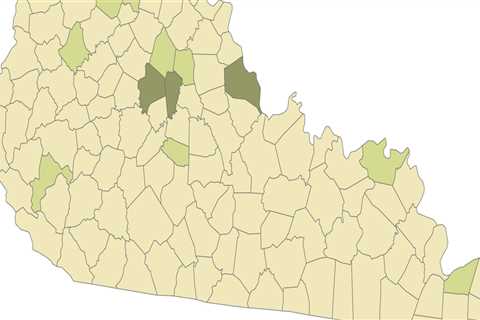 The Changing Political Landscape of LGBTQ+ Rights in Fayette County, Georgia