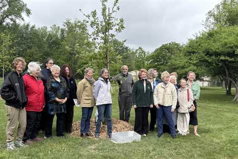 Rooted in our relationships: A tree planting for Senator Stabenow