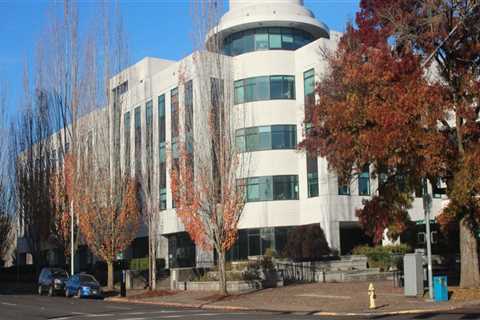 The Impact of Social Media on Political News Coverage in Multnomah County, Oregon: An Expert's..