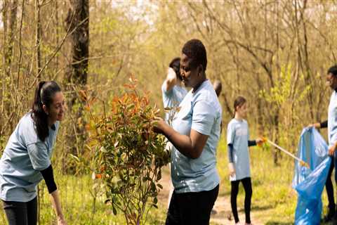 The Power of Community: Celebrations in King County, Washington