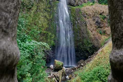 Navigating Controversial Political Topics in Multnomah County, Oregon: An Expert's Perspective