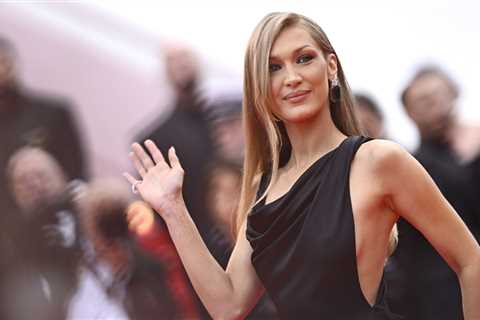 Lyme Disease Battle: Updates and Insights from Hollywood Life