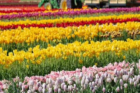 Experience the Vibrant Annual Celebrations in Monmouth County, New Jersey