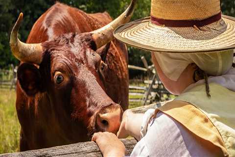 Uncovering the Vibrant Culture and History of Southern Maryland's Community Celebrations