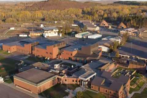 The Secret to Producing Successful Athletes in Anoka County, Minnesota