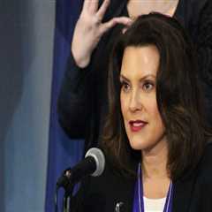 The Art of Navigating Criticism and Public Scrutiny as a Politician in Wayne County, Michigan