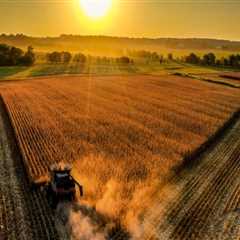 Exploring the Rich Agricultural Heritage of Central Kentucky