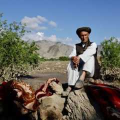 UN calls for faster emissions cuts for 2035 as first global estimate disappoints