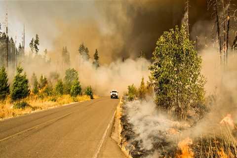 The Intersection of Environment and Politics in Western Oregon