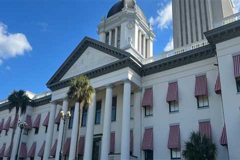 The Process of Creating and Passing Laws in Bay County, Florida: An Expert's Perspective