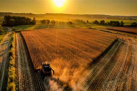 Exploring the Rich Agricultural Heritage of Central Kentucky