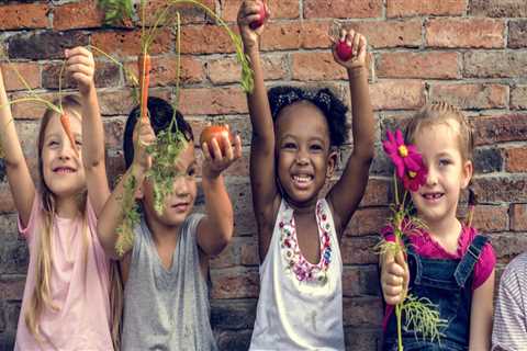 The Impact of Public Policies in Hall County, Georgia