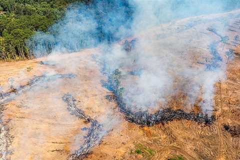 Australia’s Nature Laws Are Finally Up for Reform. But Will They Be Strong Enough to Protect What..