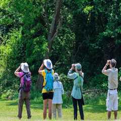 Youth Events in Southern Maryland: A Comprehensive Guide to Fun and Engaging Activities for Young..