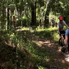 Bike Festivals in Leon County, Florida: A Haven for Professional Cyclists