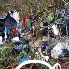 The Impact of Political Advocacies on Local Businesses in Multnomah County, Oregon: An Expert's..