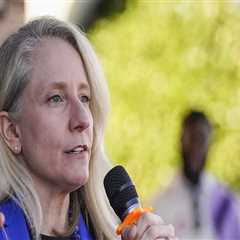 The Winning Strategies of Democratic Campaigns in Northern Virginia: An Expert's Perspective