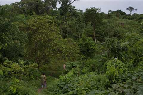 Fog Season: Tips for Safe Driving in California’s Valleys and Coasts